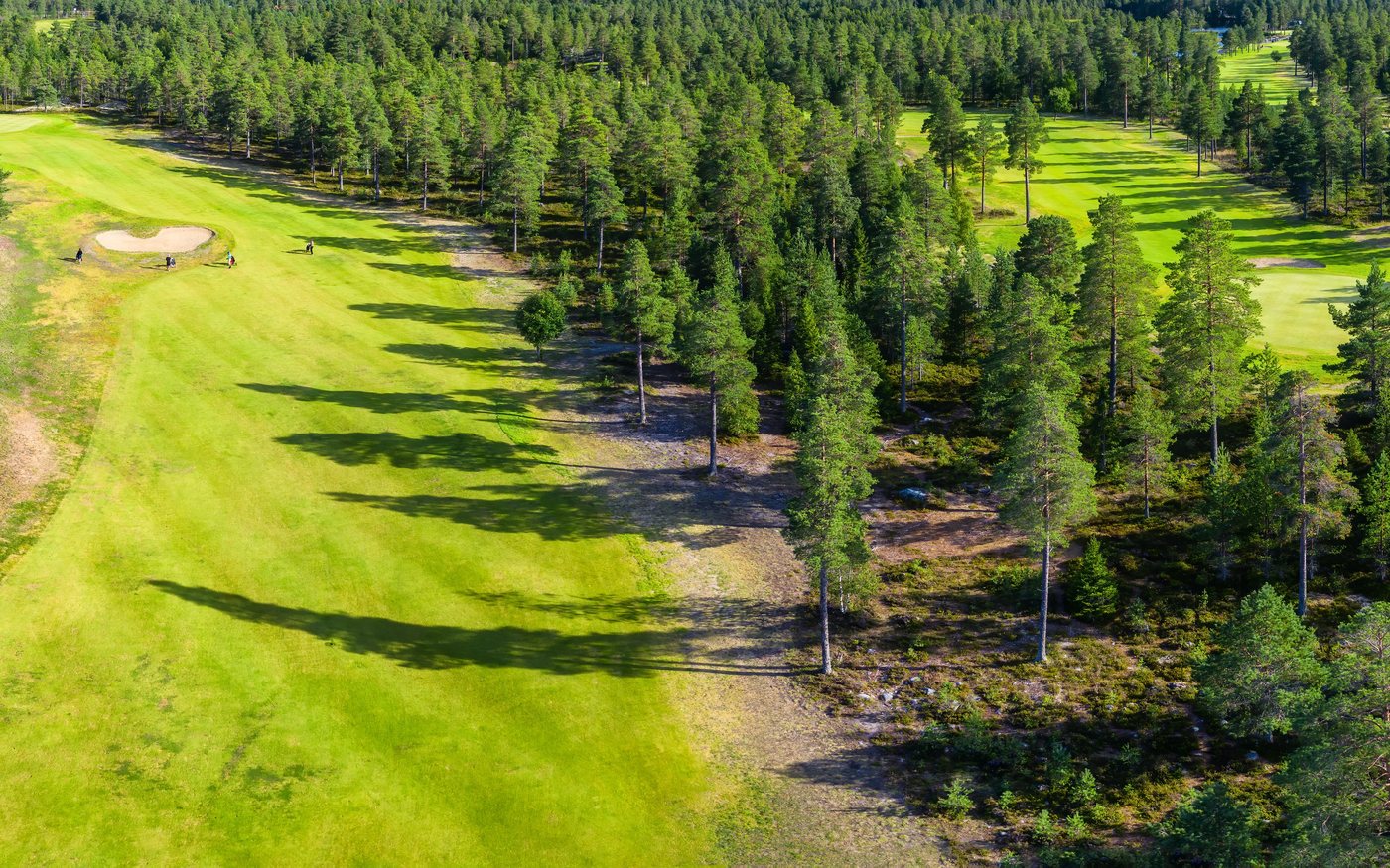 Golf — Levi